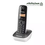 تلفن بیسیم پاناسونیک مدل KX-TG1611 - مسترخانگی